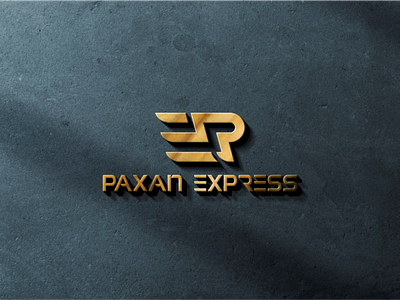 PAXAN EXPRESS LOGO DESIGN