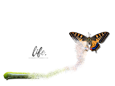 Life. branding design dispersion effect graphic design illustration