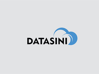 Datasini branding graphic design logo logo design text logo