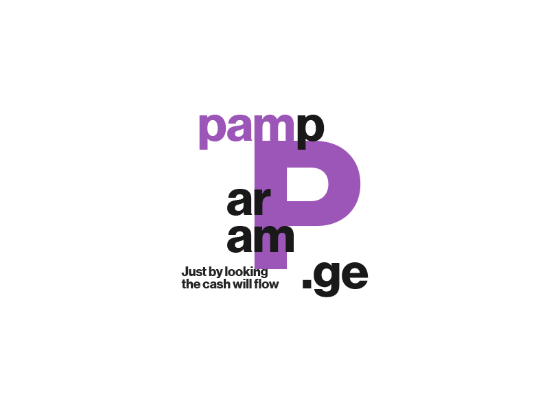 Pamparam — Brand brand dynamic helvetica logo typography