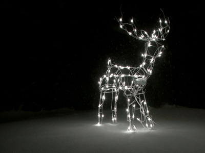 Snow Deer christmas lights photo reindeer snow winter