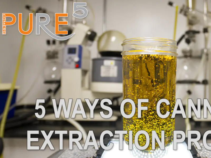 5 Ways Of Cannabis Extraction Process By Pure 5 Extraction On Dribbble