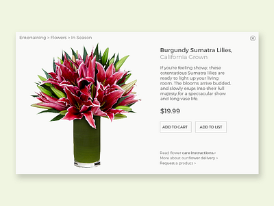 DailyUI #012 - ecommerce product