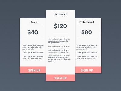 Daily UI #030 : Pricing