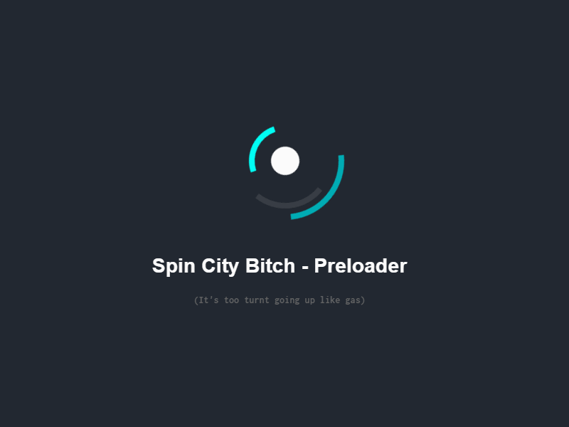 Spin City Bitch - Preloader w/ CSS animation css interaction design preloader prototype ui ux web animation