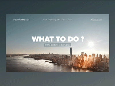 DiscoverNYC.com landing page after effect landing page new york