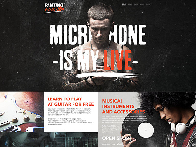 PANTINO - music store e commerce e shop marcin mizura poland snowtiger webdesign website