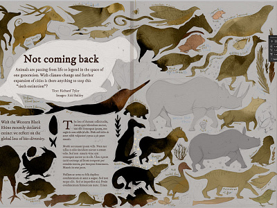 Not Coming Back Dribbble animals editorial illustration magazine work in progress