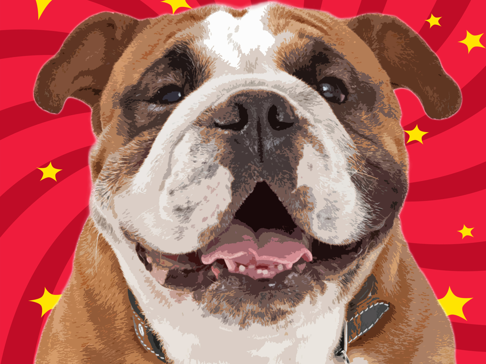 costco panoramic prints