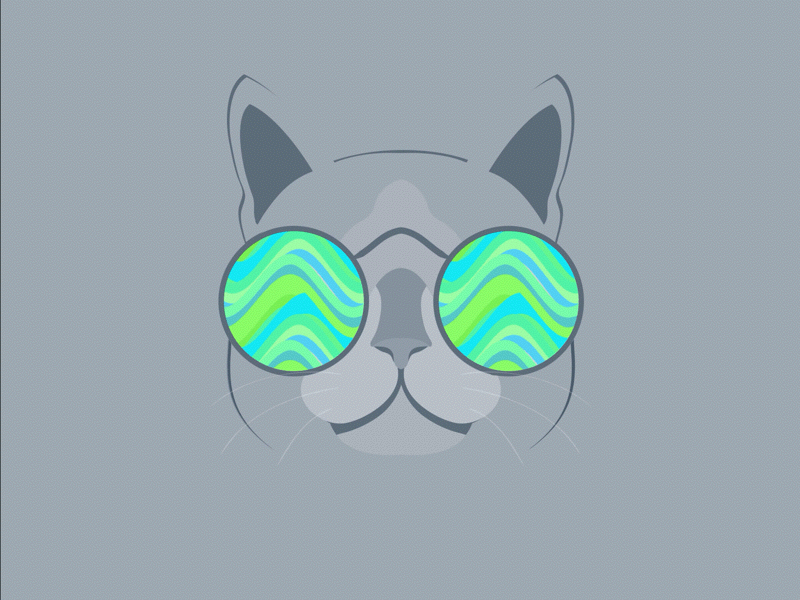 Swaggy Billa with some attitude and infinite loop animation cat fun glasses high hippy infinite loop principle shades swag