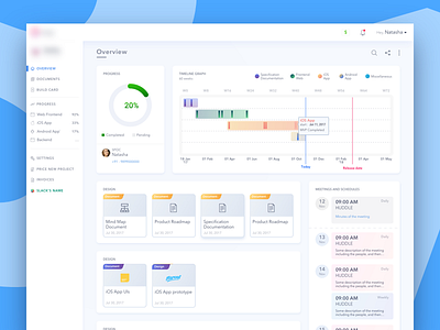 Dashboard to manage the progress of the project chart dashboard development documents invoice meeting minutes notification price progress roadmap status