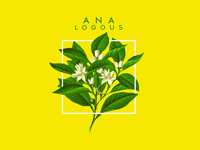 Analogous