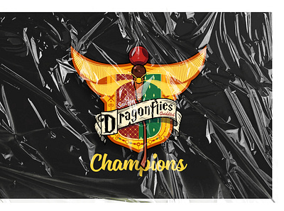 Saigon DragonFlies Quidditch - logo game graphic design illustration logo quidditch