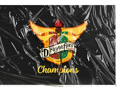 Saigon DragonFlies Quidditch - logo