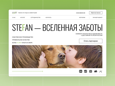 Website designer for Pet company | UX/UI design