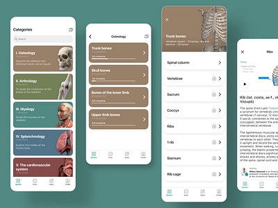 Anatomy app - categories anatomy app categories design education home illustration ios medical mobile