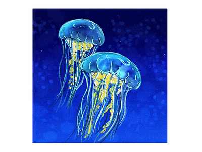 Juzt Jelly art artist autodesk sketchbook blue digital art digital illustration graphic design illustration jellyfish ocean