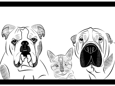 Illustration Dogs and cat blackandwhite cat dog illustration