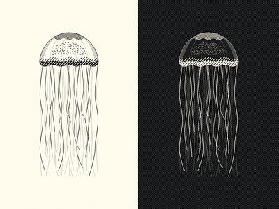 Jellyfish graphic design jellyfish minimalist vector