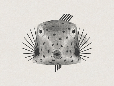 Boxfish boxfish digitalart digitaldrawing fish graphic design illustration texture