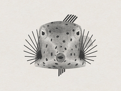 Boxfish