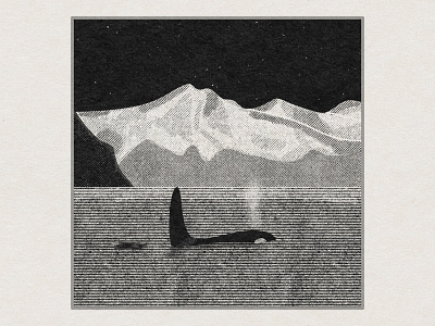 Killer whale landscape black and white graphic design illustration killer whale landscape orca texture