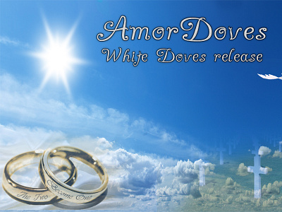 Amor Doves logo branding card design logo