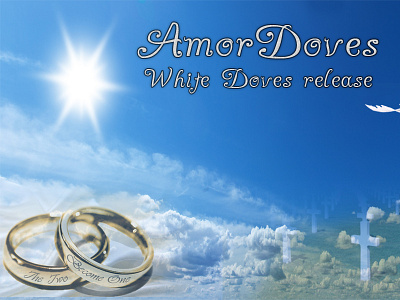 Amor Doves logo