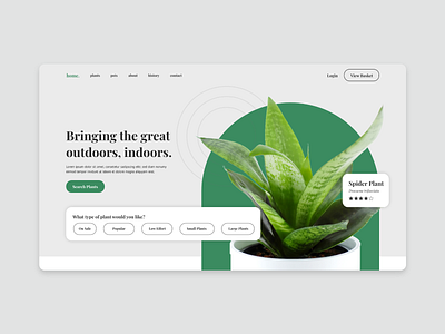 home. - Household Plants Web Concept branding landing plants ui user experience user interface ux website design