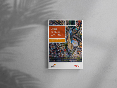 Doing business in Viet Nam - Publication branding brochure design flat design graphic design minimalist report