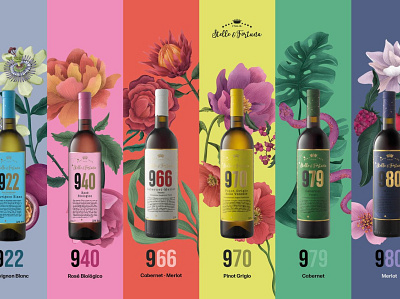 Stelle & Fortuna 9 Series Collection branding logo wines