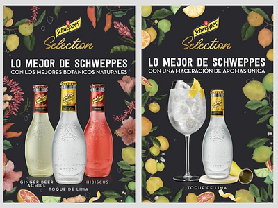 Schweppes Selection Campaign 2021 branding graphic design logo schweppes