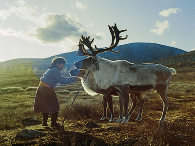 Mongolia reindeer tribes