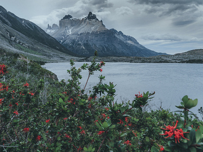 Patagonia travel