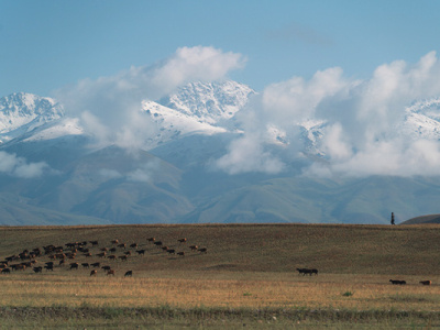 Kyrgyzstan mountains