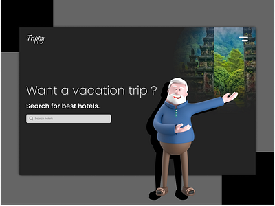 Trippy: Hotels hunt site concept.