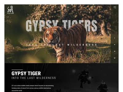 Gypsy Tiger Homepage channel design discovery elephants experience design gypsy mammals natgeo tigers ux design wildlife