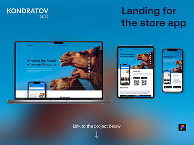 Landing for a store app