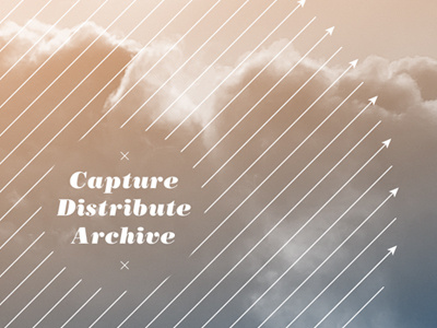 Capture/Distribute/Archive annual report print typography