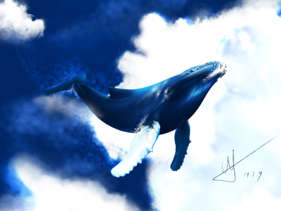 夏日糯米—鲸 illustration