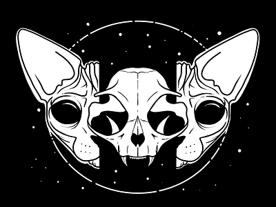Cosmic split - Sphynx cat skull