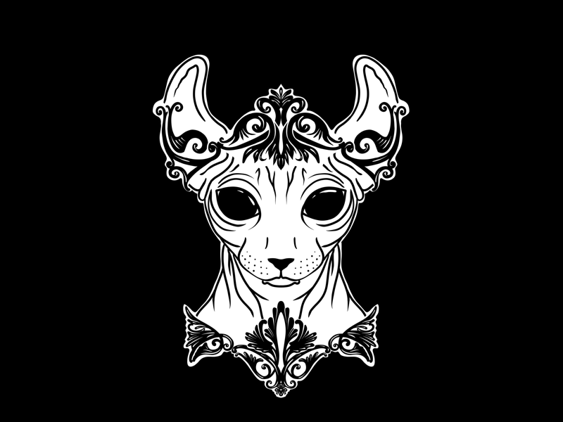 Elven Sphynx Cat