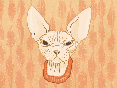 Grumpy Sphynx Cat - Illustration cat illustration creative digital illustration funny cat grumpy grumpy cat hairless cat illustration sphynx sphynx cat texture