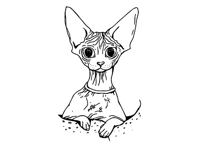 Sphynx Cat Illustration - Line Drawing alien animal drawing big ears cat illustration creepy kitty naked cat sphynx cat weird cat wrinkly cat