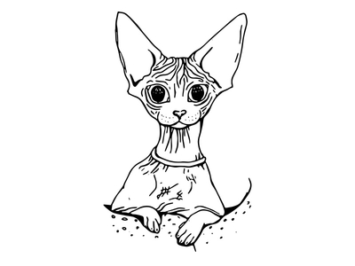 Download Sphynx Cat Illustration - Line Drawing by Ana Novakovic - Dribbble
