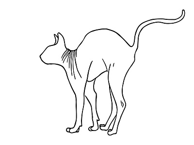 Sphynx Cat Arching Its Back - Line Drawing - Minimal animal drawing big ears cat cat illustration creepy kitty minimalistic simple sphynx cat wrinkly cat yoga yoga cat