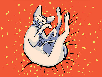 Sphynx Cat Sleeping - Colour alien animal drawing big ears cat illustration cat sleeping creepy kitty sphynx cat weird cat wrinkly cat yoga yoga cat