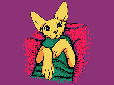 Sphynx Cat in a Sweater - Illustration