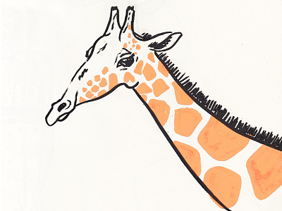 Giraffe Illustration animal animal portrait animal print drawing giraffe illustration markers safari wild animal