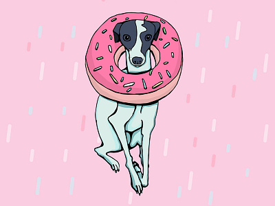 Iggy Dog Wearing a Doughnut dog illustration dog lover doughnut greyhound hand drawn illustration iggy iggy dog illustration italian greyhound pink doughnut sprinkles vibrant colors whippet